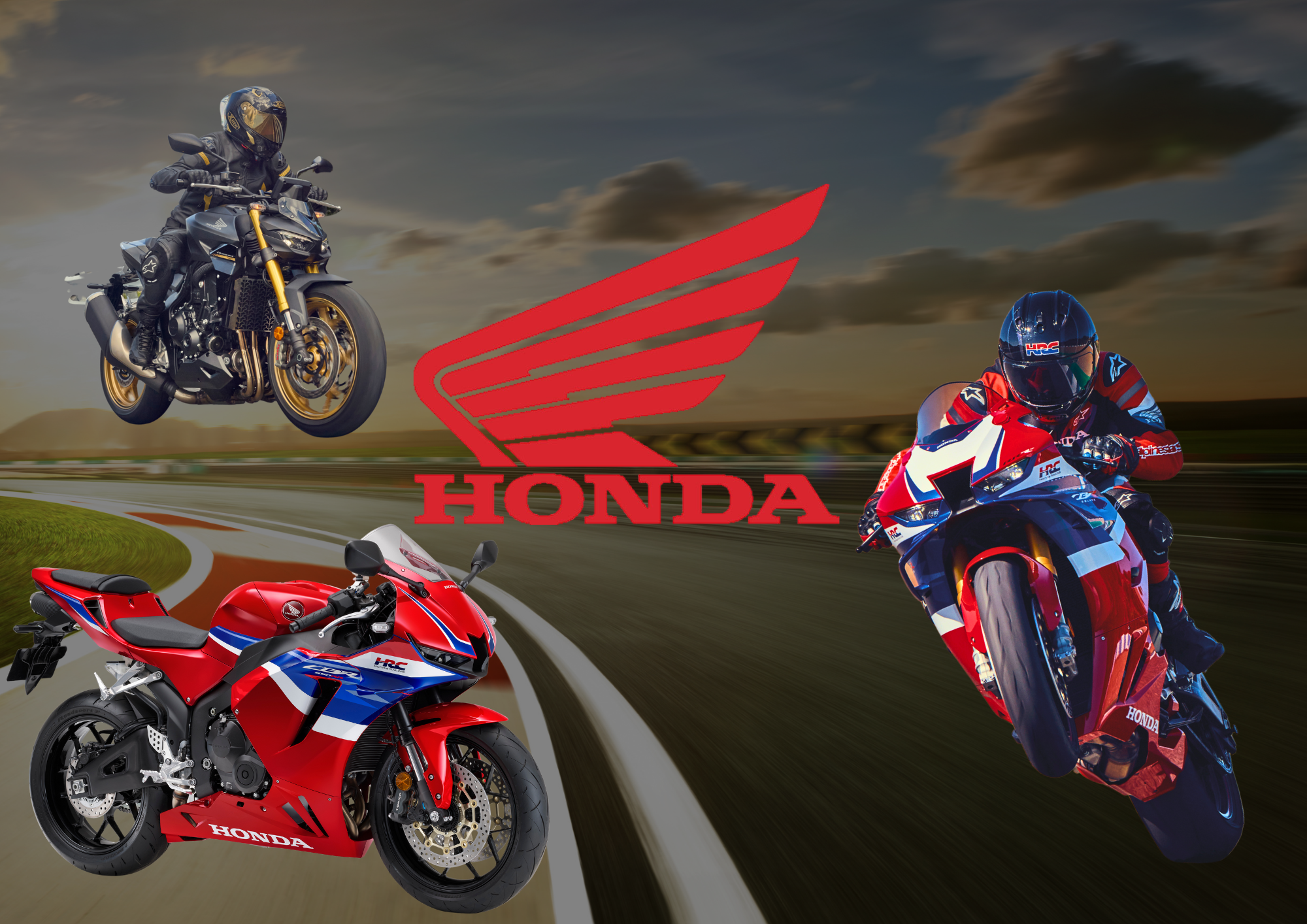 Dein Abschnittstext (16)